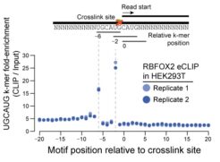 RNA Binding Protein Target Sequencing: Enhanced CLIP-Seq