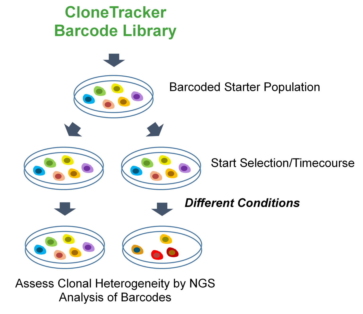 NGS Barcode Pooled Libraries • NUCLEUS BIOTECH