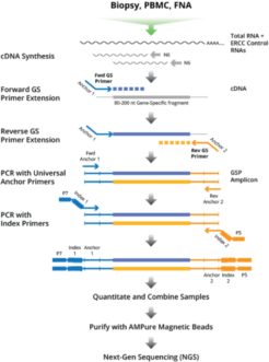 Targeted RNA-Seq Kits