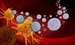 Immunotherapy Target Constructs